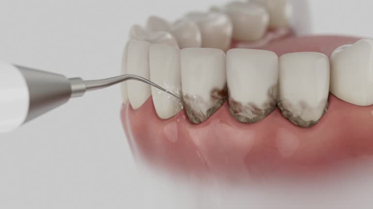 Reliable Dental contractor in Emerald Lakes, PA by Dentist Open Now
